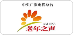 媒体 25